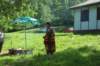 _9063_small.jpg